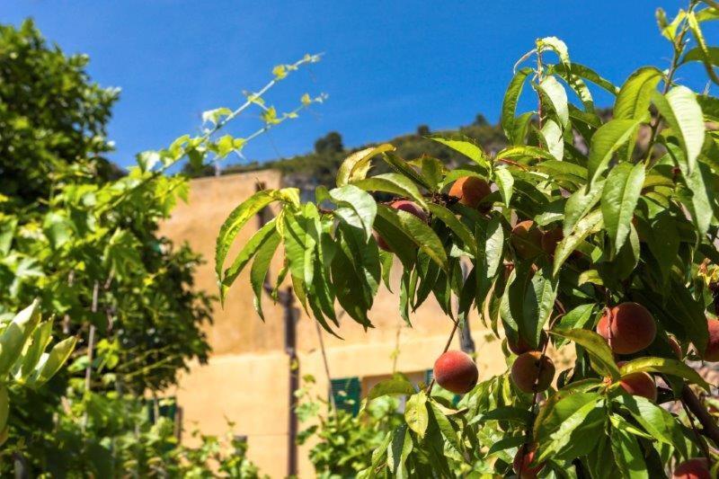 Hotel Agriturismo La Selva Finale Ligure Exteriér fotografie