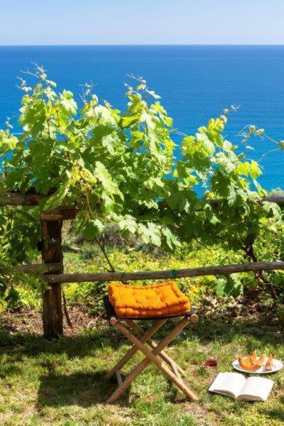 Hotel Agriturismo La Selva Finale Ligure Exteriér fotografie