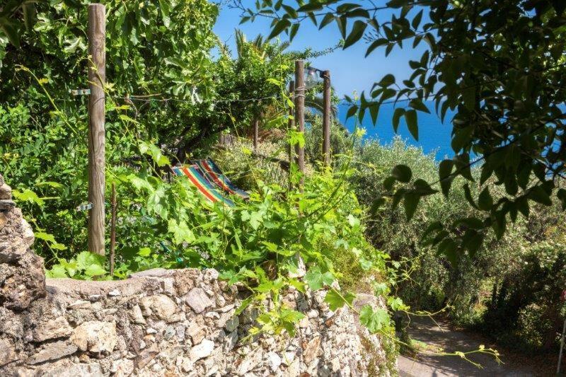 Hotel Agriturismo La Selva Finale Ligure Exteriér fotografie
