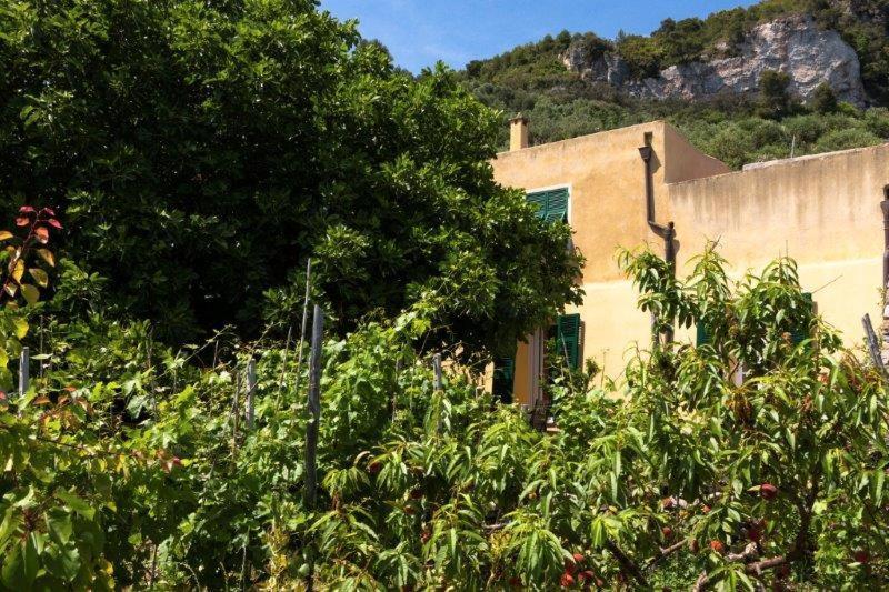 Hotel Agriturismo La Selva Finale Ligure Exteriér fotografie