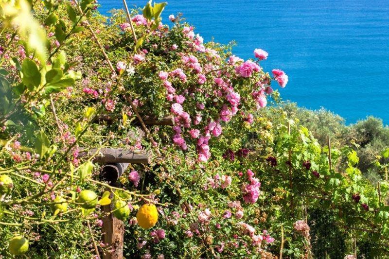 Hotel Agriturismo La Selva Finale Ligure Exteriér fotografie