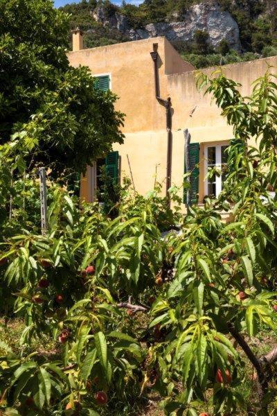 Hotel Agriturismo La Selva Finale Ligure Exteriér fotografie